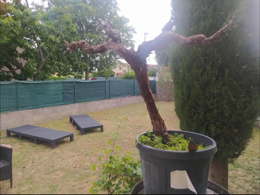 Apartmán Chambre Proche N7 / A7 / Ardeche / Via-Rhona / Velo-Drome Livron-sur-Drôme Exteriér fotografie